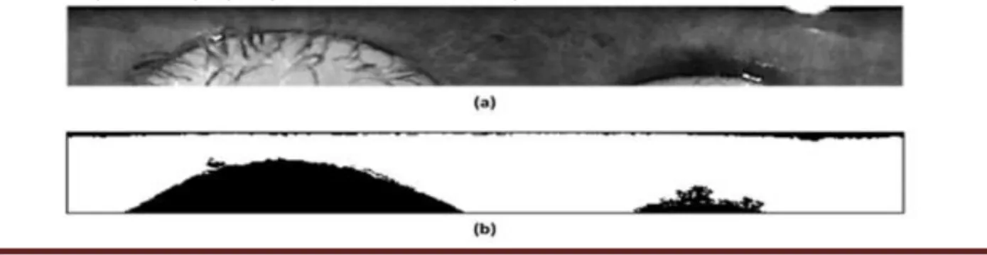 Figure 2 - Normalized images generated by OSIRIS v4.1. (a) The normalized iris region.; (b) Standard binary mask  - same iris region, but highlighting occlusion/noise in black regions 