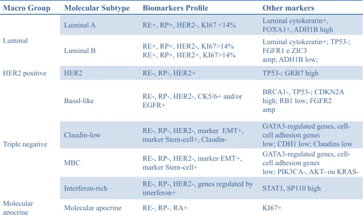 Table 1 - Summary of molecular subtypes of breast cancer according to the biomarkers.