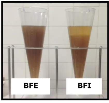 Figura 3- Sólidos sedimentables, control (BFE) y tratamiento (BFI) 