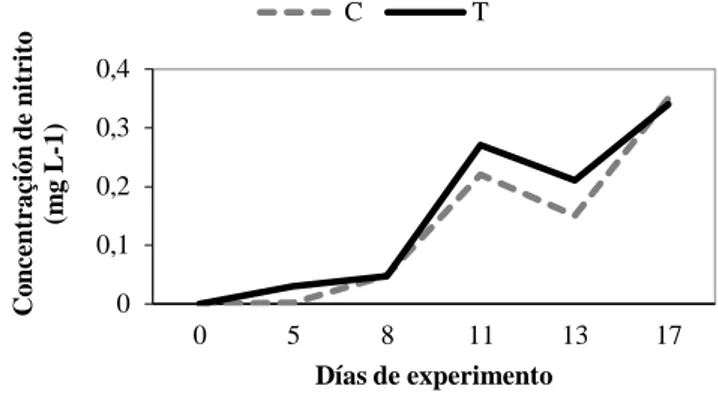 Gráfico 2- Concentración de nitrito en el agua (control y tratamiento) durante el período del experimento 