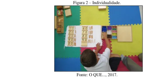 Figura 2 – Individualidade. 