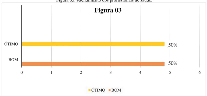 Figura 03. Atendimento dos profissionais de saúde.