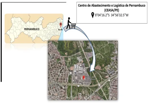 Figura 1: Localização geográfica do Ceasa de Pernambuco. 