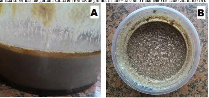 Figura 4: Camada superficial de gordura em estado líquido na amostra com o tratamento de ácido Muriático (A)