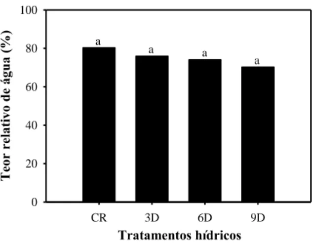 Gráfico 3. Teor relativo de água em mudas de Ipê rosa submetidas a quatro ciclos de rega (CR – Controle (rega  diária), 3, 6 e 9 dias sem rega)