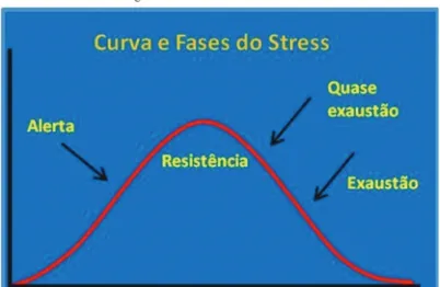 Figura 1 – Curvas e fases do estresse.