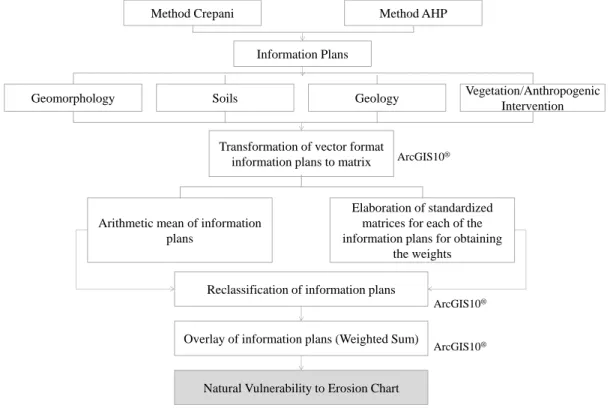 Figure 3 - Steps developed for the cartographic document elaboration. 