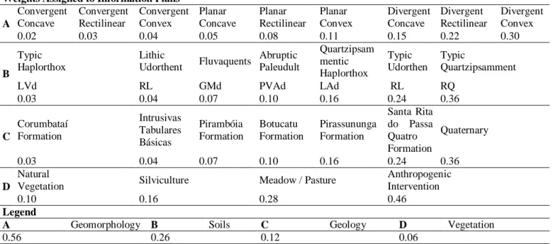 Table 6 - Weights Assigned to Information Plans. 