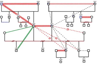 Figura 1 – Genograma familiar.