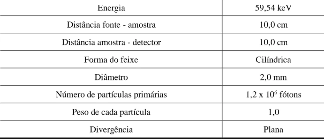 Tabela 01 – Características do feixe incidente de raios gama usado na simulação. 