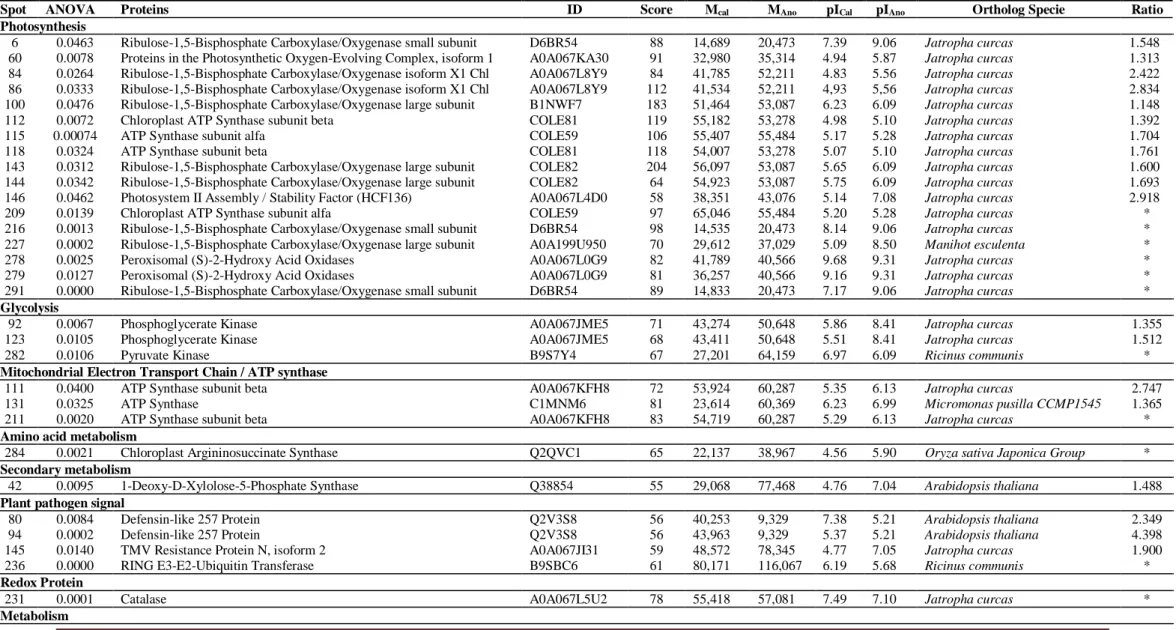 Table 1. Proteins identification of the CNPAE183 genotype of Jatropha curcas L. subjected to 48 hours of 750 mM NaCl contrasted to CNPAE218 as reference