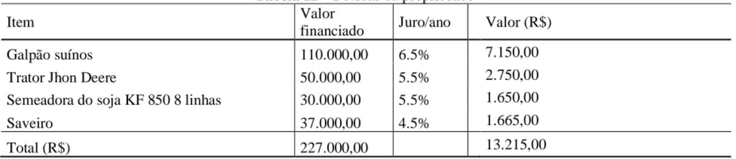 Tabela 12 – Dívidas da propriedade 