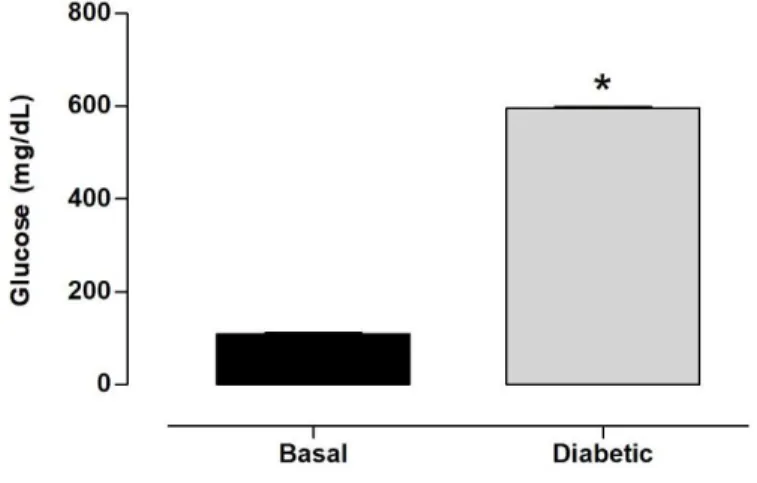 Figure 1. Plasma levels of glucose. Rats received vehicle (Basal group, n = 8) and streptozotocin (Diabetic group,  n = 8)