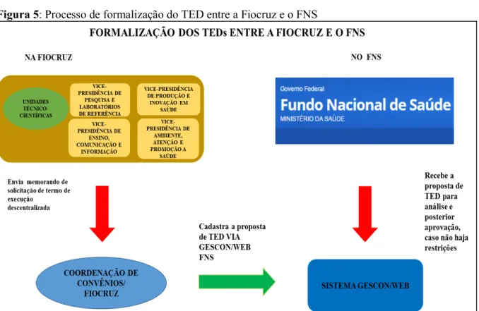Figura 5: Processo de formalização do TED entre a Fiocruz e o FNS