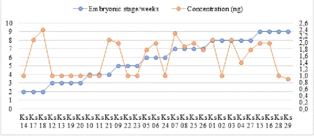 Figure 2 – Relation between the total amplified (ng) cDNA/DNA concentration and the embryonic stage from different  K