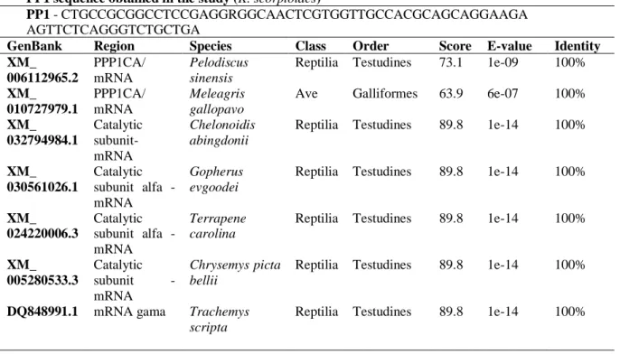 Table  3  –  Identity percentage  of  the  PP1  fragments  sequenced  in  this  study  with  other  vertebrate  groups  available in  GenBank through Blast algorithm 