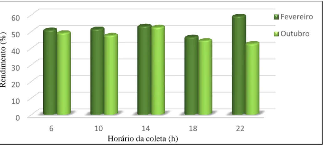 Figura 3-Variação do teor de metileugenol no óleo essencial das folhas de  Piper divaricatum no estudo circadiano do  inverno (fevereiro) e verão (outubro) amazônicos