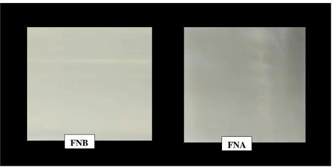 Figura 1 – Fotografia dos filmes de farinha de trigo com baixo falling number (FNB) e alto falling number (FNA) e  PBAT
