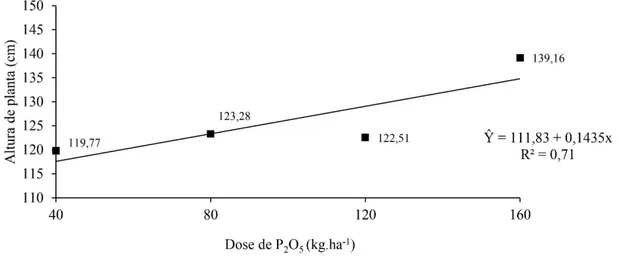 Figura 2. Altura da planta de milho em resposta a dose P 2 O 5  em um Latossolo Amarelo no município de Mâncio Lima,  AC