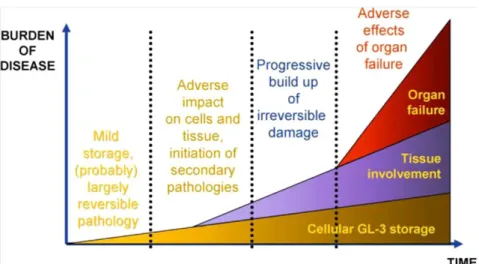 Figure 6: Schematic model of Fabry disease progression. (Eng et al, 2007). 