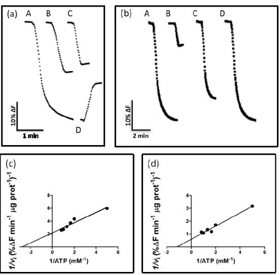 Figure 1 –V-H + -ATPase activity in intact vacuoles (a, c) and vacuolar membrane vesicles (b, d) purified from yeast