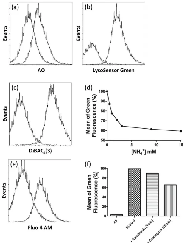 Figure  4  -  Histograms  of  a  vacuole-gated  population  stained  with  functional  dyes