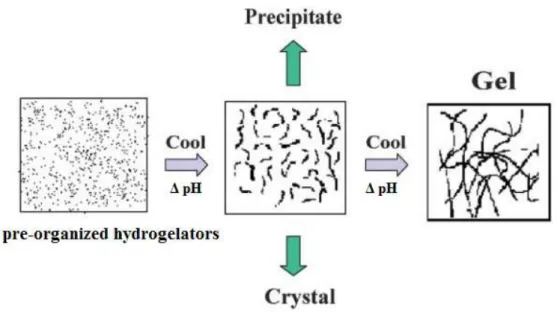 Figure  3  Schematic  representation  of  different  aggregation  modes  for  peptide-based  molecular hydrogelators