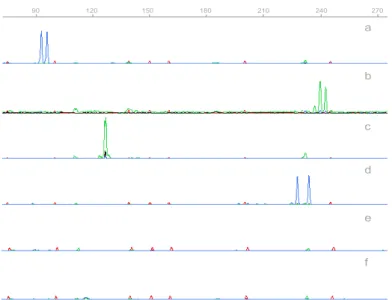 Figure 2.4. GeneScan profiles obtained by multiplex amplification with (a)  C. albicans,  S040, (b)  C