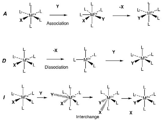 Figura 5. Representações esquemáticas dos mecanismos: associativo (A), dissociativo (D) e  intertroca (I) para a substituição de ligandos num complexo octaédrico