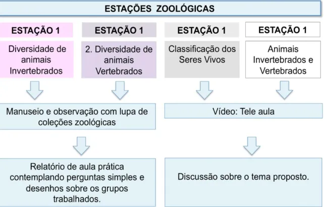 Figura 2: Atividades desenvolvidas na “Saída Pedagógica: Oficina de Estações Zoológicas 