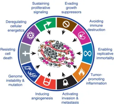 Figure  1.1|  The  ten  hallmarks  of  cancer  proposed  by  Hanahan  and  Weinberg.  These  include  sustaining  proliferative signaling, evading growth suppressors, resisting  cell death, evading immune destruction, enabling replicative  immortality,  in