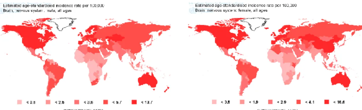 Figure  1.2|  Worldwide  estimated  age-standardized  incidence  rate  per  100,000  person  for  brain  and  nervous system tumors in males (left map) and in females (right map) 11 