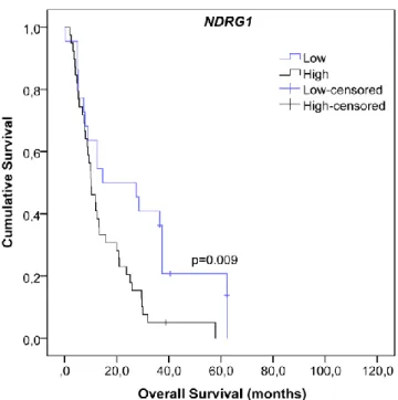 Figure 3.2| Kaplan-Meier overall survival curve of patients  from  REMBRANDT 78   dataset  with  high  (n=39)  and  low  (n=17)  expression  of  NDRG1