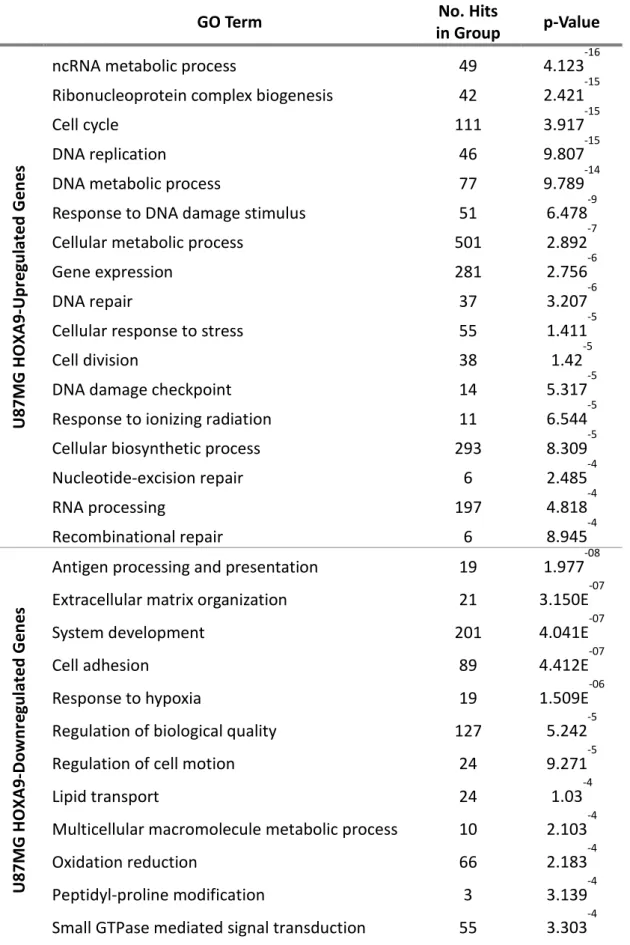 Table  3.3|  Biological  function  clustering  performed  using  gene  ontology  terms  for  differentially  expressed genes of U87MG-HOXA9 cells compared to U87MG-MSCV cells