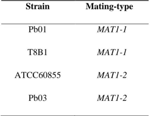 Table 4 – Mating-type of P. brasiliensis strains used in this study.