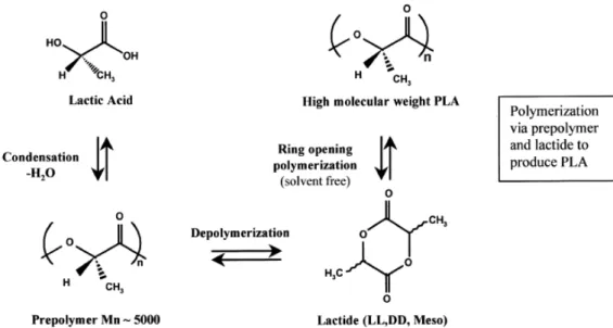 Figure   2.3   -­‐   Production   of   PLA   by   ring   opening   polymerization   of   lactide   [39]