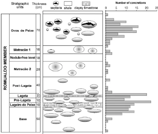 Figura 2.6. Estratigrafia e distribuição das concreções do Membro Romualdo no Parque dos Pterossauros