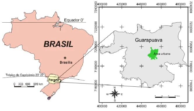 Figura 1. Localização da área urbana de Guarapuava. 