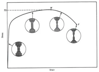 Fig. 3. 7 - Estado do provete nas diferentes fases do ensaio de tração [33] 