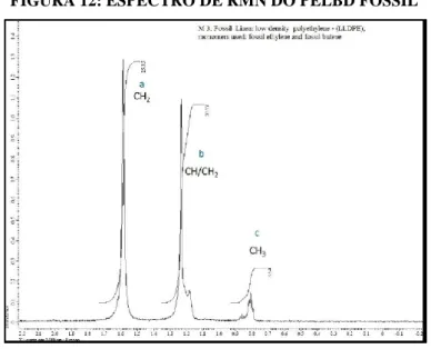 FIGURA 12: ESPECTRO DE RMN DO PELBD FÓSSIL 