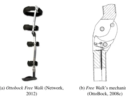 Figure 1.4: Ottobock Free Walk and corresponding mechanism The fundamental information about the Free Walk orthosis can be listed below: