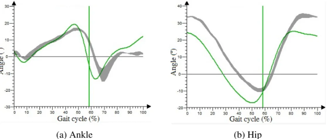 Figure 2.10: Ankle and hip angle on normal gait (Whittle, 2007)