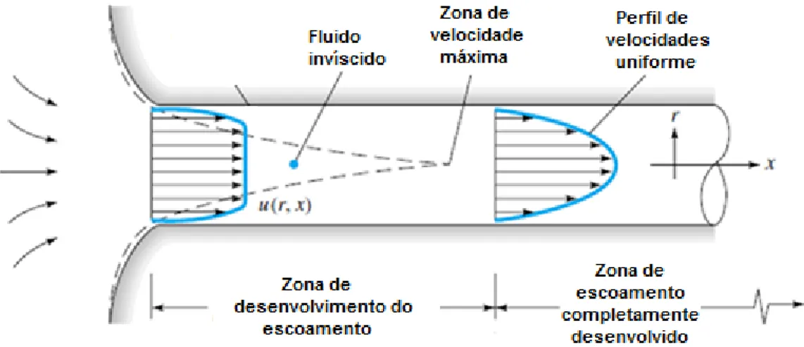 Figura 2.4 - Perfil de velocidades da região de entrada e de escoamento desenvolvido [3] 