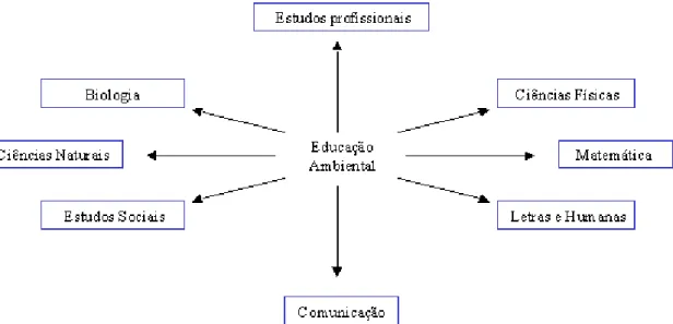 Figura 2 -  Modelo de programa de Educação Ambiental 