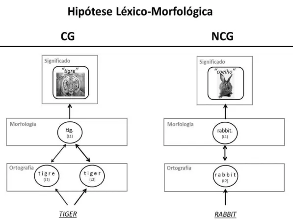 Figura  6 - Hipótese Léxico-Morfológica (adaptado de Dijkstra et al., 2010, pp. 286)