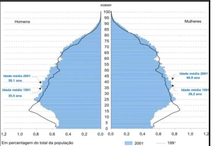 Figura 4 – Pirâmide etária, Portugal, 1991-2001 (INE, 2002) 10