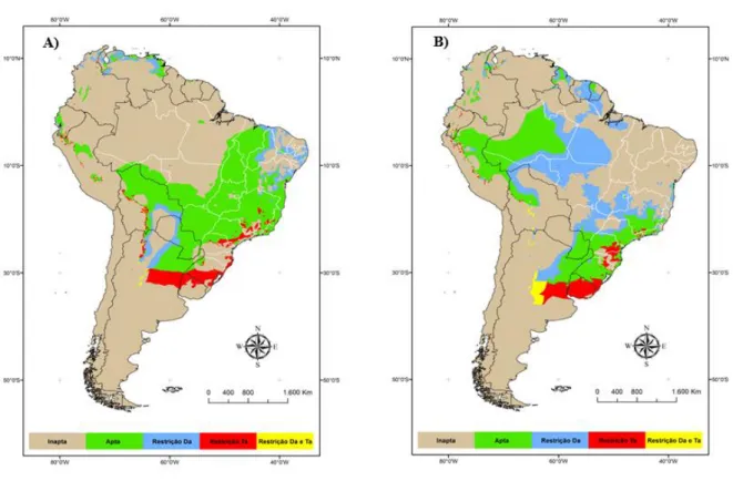 Figura 2. Zoneamento agroclimático da cultura da cana-de-açúcar na América do Sul para o cenário  referência (década de 1980) utilizando dados do CRU (A) e para a década de 2050, considerando o cenário 
