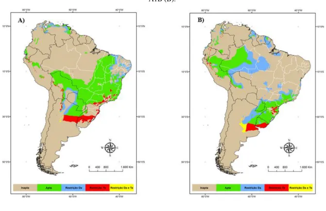 Figura 3. Zoneamento agroclimático da cultura da cana-de-açúcar na América do Sul para o cenário  referência (década de 1980) utilizando dados do CRU (A) e para a década de 2080, considerando o cenário 
