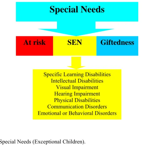 Figure 1. Special Needs (Exceptional Children). 