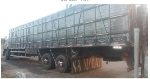 Figura 1. Caminhão tipo truck utilizado para o transporte de bubalinos a abatedouros-frigoríficos no município de  São Luís - MA 